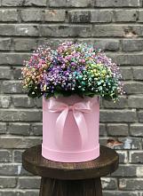 Цветочная композиция из Гипсофила и Розы в шляпной коробке в Фатеже