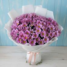 Букет цветов из:  Хризантемы в Фатеже