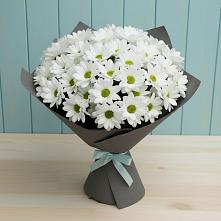 Букет цветов из:  Хризантемы в Фатеже