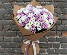 Букет цветов из:  Хризантемы в Фатеже