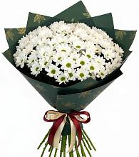 Букет цветов из:  Хризантемы в Фатеже