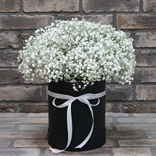 Цветочная композиция из Гипсофила в шляпной коробке в Фатеже