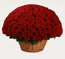 Премиум букет из: Розы в Фатеже