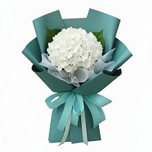 Букет цветов из:  Гортензия в Фатеже